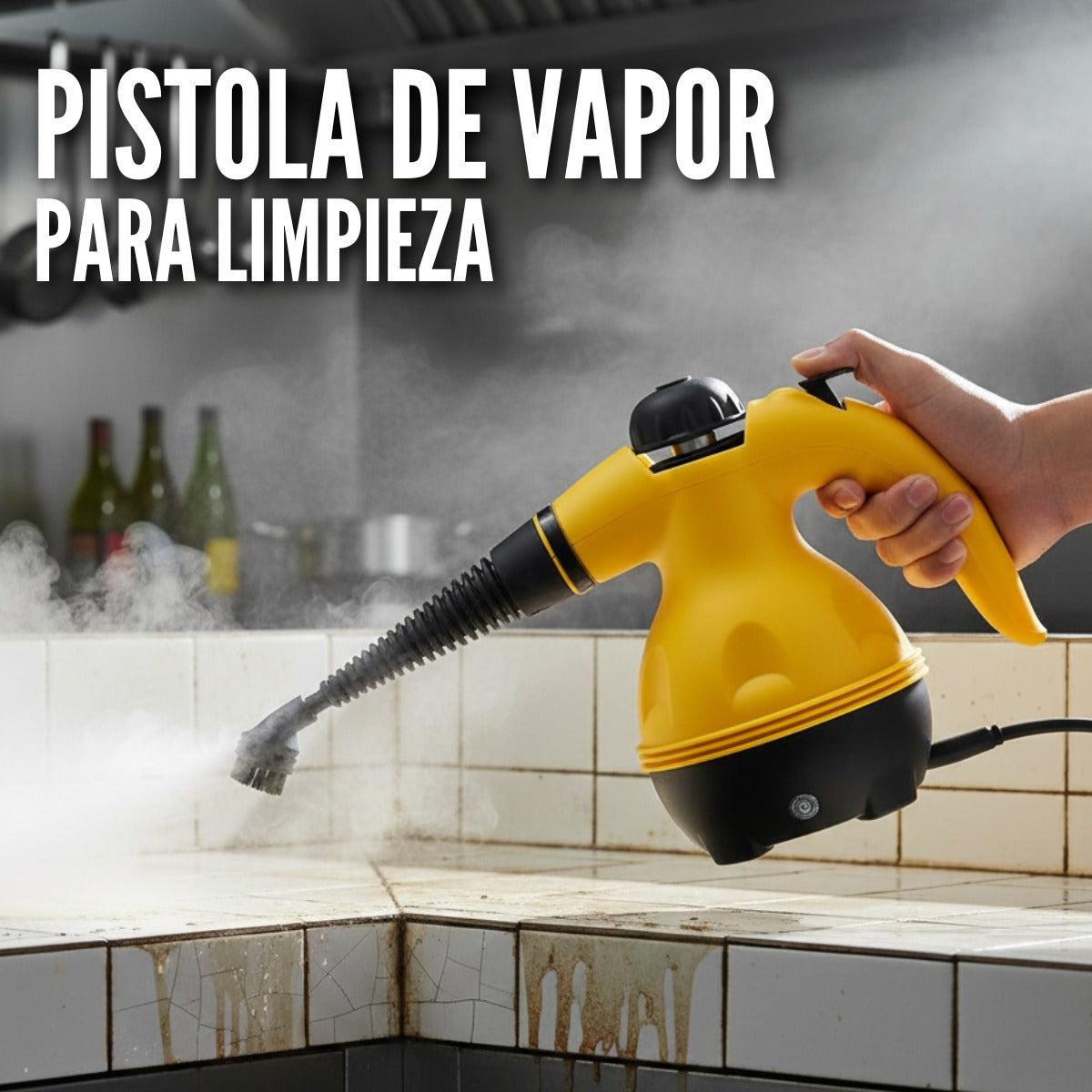 PISTOLA DE VAPOR CON ACCESORIOS 110 V 400 ML